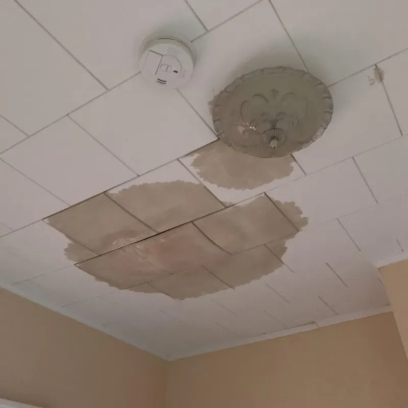 Ceiling Water Damage Repair in New London, MN