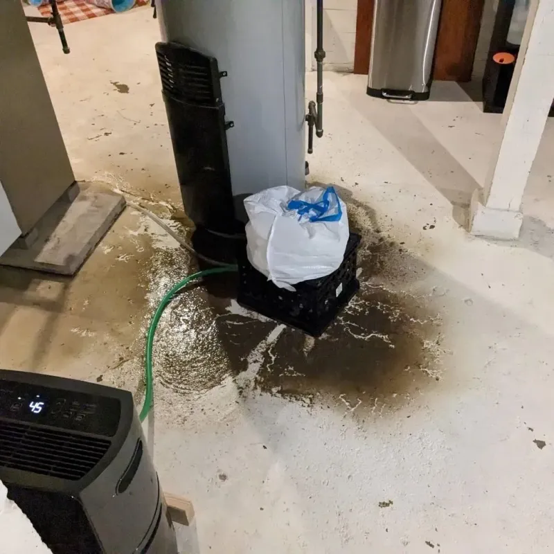 Sewage Backup Cleanup Service in New London, MN